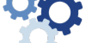 006 006